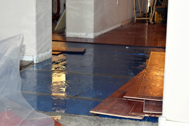 Professional Basement Flood Cleanup technician working in Brookeville, MD